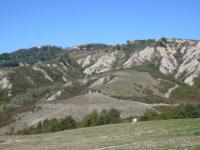 POLO AMBIENTALE  DEL VALDARNO E DELLA VALDERA â€œI CALANCHI DI TOIANO â€